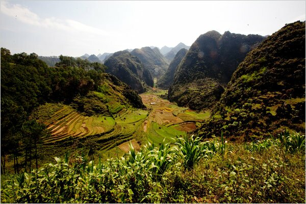 Дорога между городами Dong Van и Meo Vac проходит мимо рисовых полей и карстовых образований.